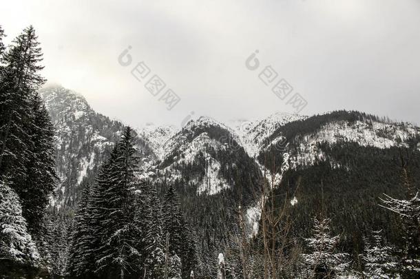 <strong>位</strong>于波兰塔特拉山脉北坡的一个艺术中心,海眼睛山风景