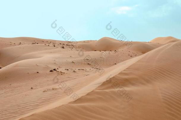 美丽的风景关于沙的沙漠