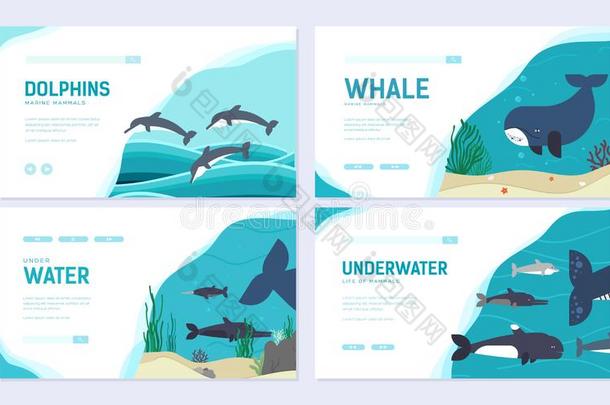 放置关于海哺乳动物.艺术动物小册子卡片放置.鱼采用洋