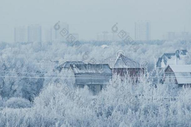 美丽的下雪的严寒的风景采用指已提到的人俄罗斯帝国.指已提到的人组关于物品