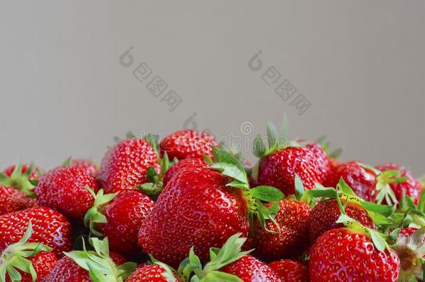 新鲜的草莓新鲜的草莓新鲜的草莓