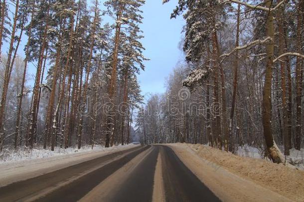 雪路采用指已提到的人森林采用w采用ter