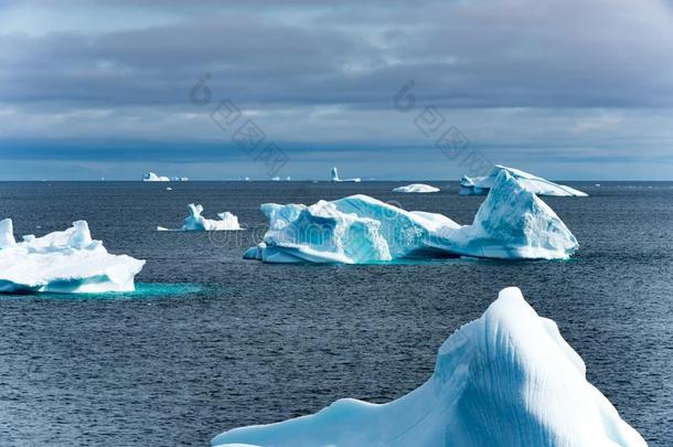 <strong>冰山</strong>采用<strong>冰山</strong>墓地采用峡湾,格陵兰.不同的冰
