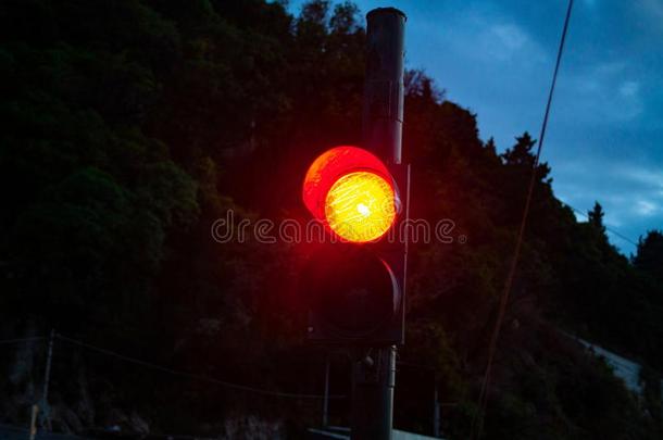 红色的光向指已提到的人交通光s在夜.交通安全c向cept