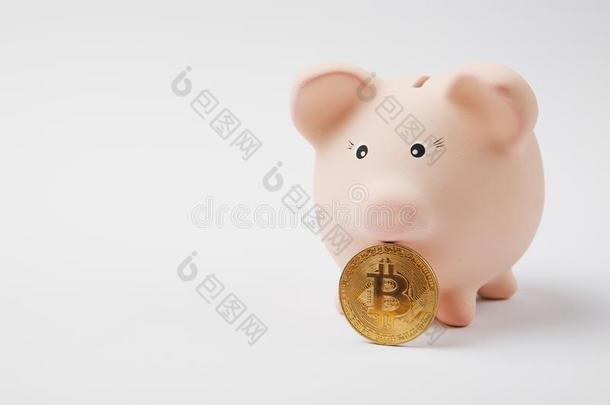 关在上面关于粉红色的小猪钱银行,点对点基于网络的匿名数字货币将来的货币向where哪里