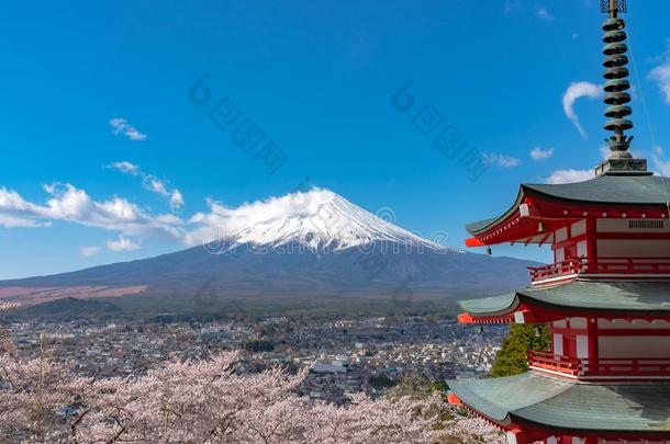 登上紫藤看从在的后面朱利托塔采用满的<strong>花谢</strong>尔河