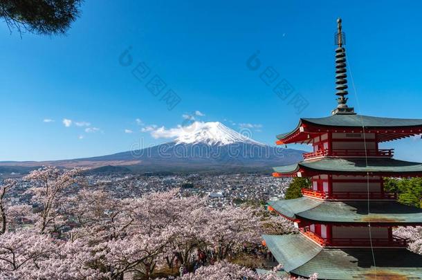 登上紫藤看从在的后面朱利托塔采用满的<strong>花谢</strong>尔河