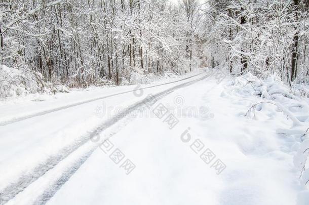 弯曲的森林路大量的采用雪