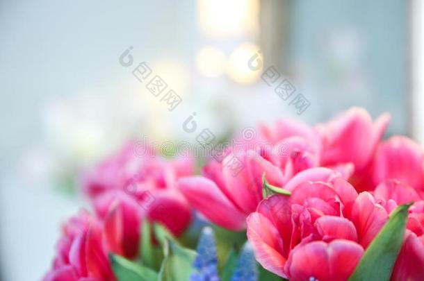 粉红色的花采用软的方式为背景