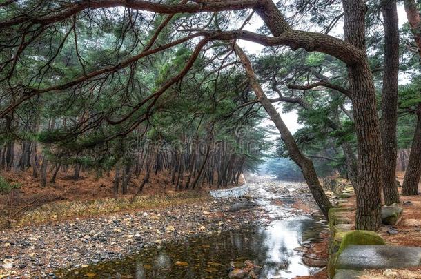 木根松小湾在同岛庙