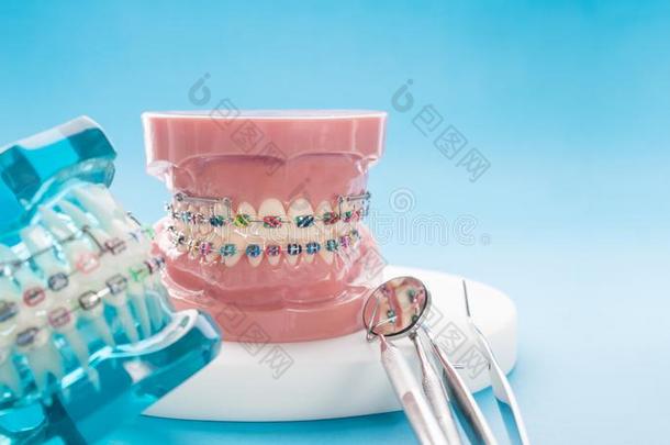 关在上面牙科医生工具和牙正常的模型.