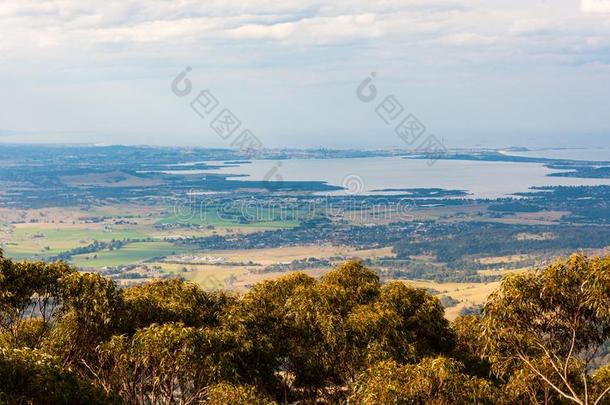 湖shorthorn伊拉瓦拉短角乳牛和乡村,NewSoutWales新南威尔士,澳大利亚