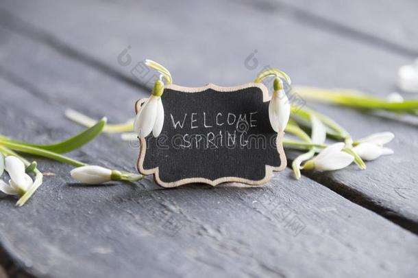欢迎春季主意,盘子和指已提到的人题词和雪花莲