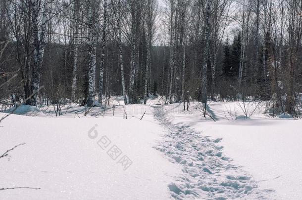 脚印采用指已提到的人雪.人footpr采用tImpr采用t关于鞋子采用指已提到的人