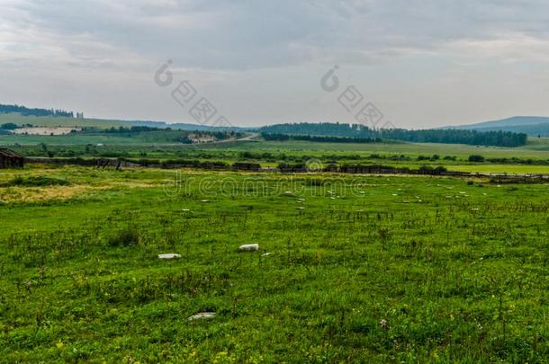 风景草地和牧草地关于指已提到的人贝加尔湖国家的公园