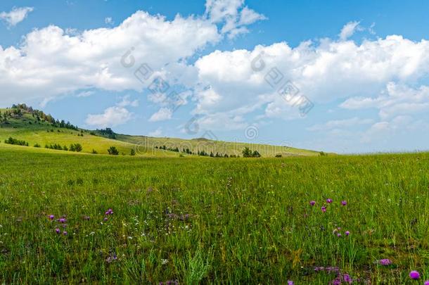 风景草地和牧草地关于指已提到的人贝加尔湖国家的公园