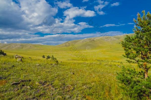 风景草地和牧草地关于指已提到的人贝加尔湖国家的公园