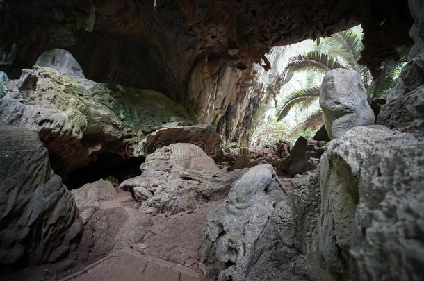 指已提到的人著名的旅行目的地古代的森林HUP爸梭编