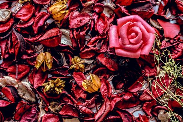 质地关于<strong>蔷薇花</strong>蕾和玫瑰花瓣.浪漫的背景