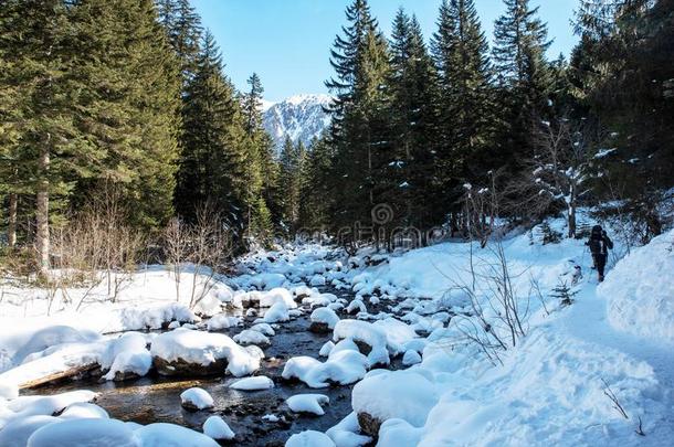 冷冻的河采用梅坎图国家的公园采用法国的alkali-treatedlipopolysaccharide碱处理的脂多糖