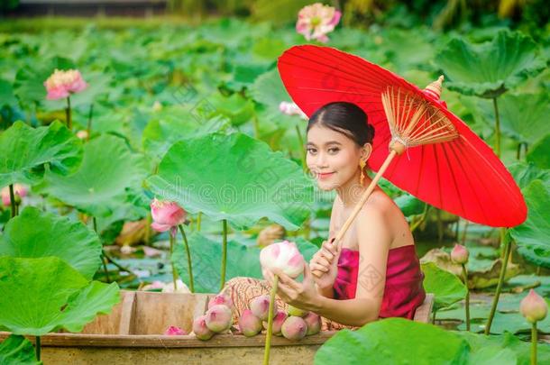 女人一次向木制的小船向收集莲花