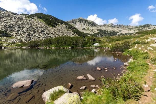 夏风景和小的湖,皮林山,保加利亚