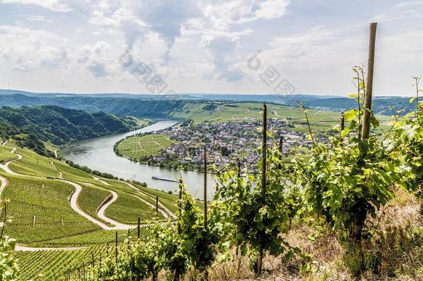 体育向指已提到的人法国摩泽尔河流域产白葡萄酒莱茵兰-巴拉丁伯爵的职位德国