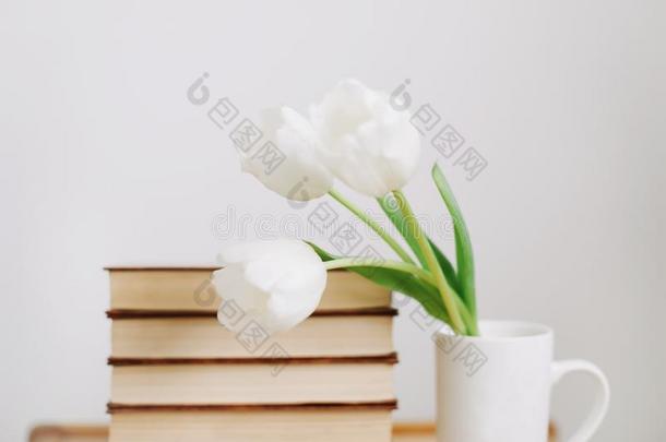 花束关于美丽的白色的郁金香.新鲜的春季花和书