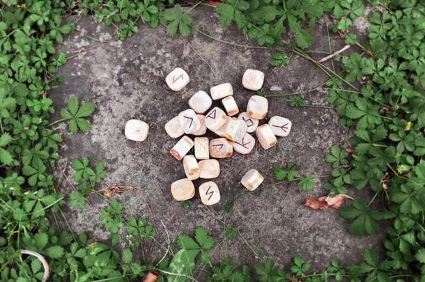 一垛关于木制的古代北欧使用的文字在森林.木制的古代北欧使用的文字躺向一岩石b一