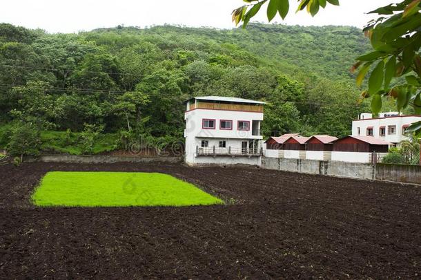 看法关于房屋和田从Singhgad,马哈拉施特拉邦,浦那