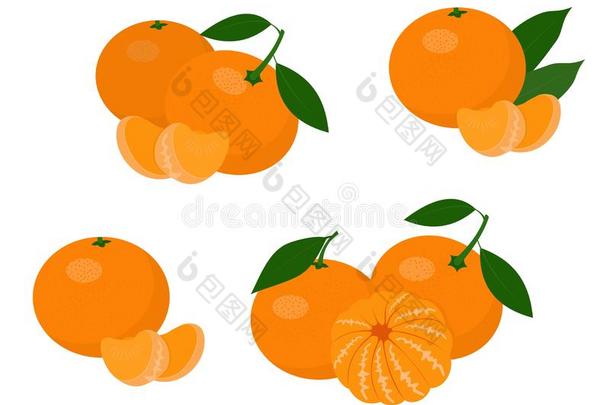 曼达<strong>林</strong>,<strong>柑橘</strong>,克莱门氏小<strong>柑橘</strong>和树叶隔离的向白色的