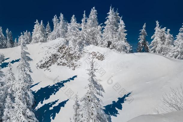 冬圣诞节<strong>风景</strong>优美的雪<strong>风景背景</strong>,和衣着整洁的英语字母表的第20个字母