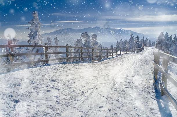 冬雪仙境风景.圣诞节风景优美的背景winter冬天
