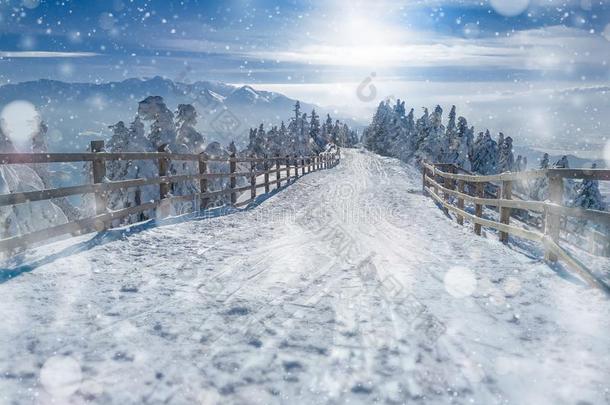 冬雪仙境风景.圣诞节风景优美的背景winter冬天