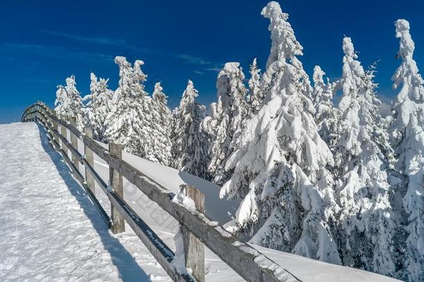 <strong>冬</strong>雪仙境<strong>风景</strong>.圣诞节<strong>风景</strong>优美的背景winter<strong>冬</strong>天