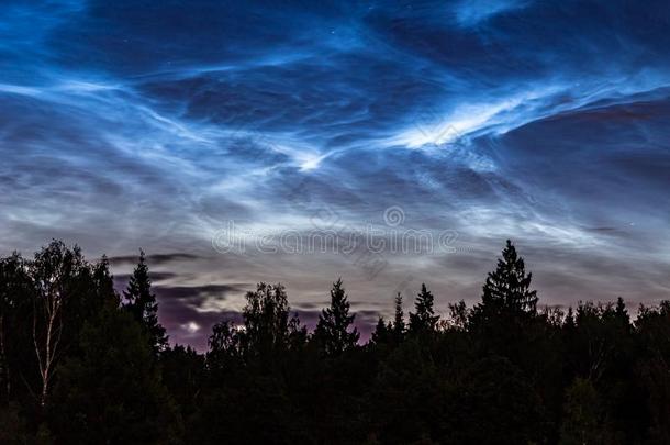 大气的现象关于生物发光的云夜光亮的云