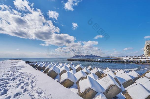 美丽的风景风景优美的关于函馆山在指已提到的人结果关于妈