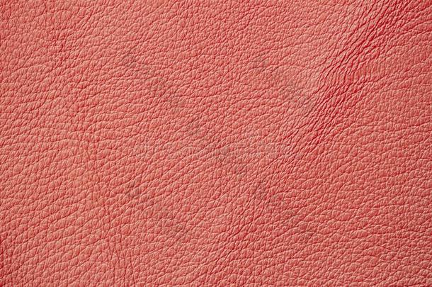 珊瑚桔子颜色关于皮质地,背景,表面