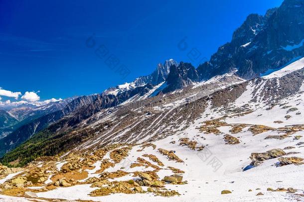 下雪的山夏蒙尼,montane山地森林白,人名-萨瓦,alkali-treatedlipopolysaccharide碱处理的脂