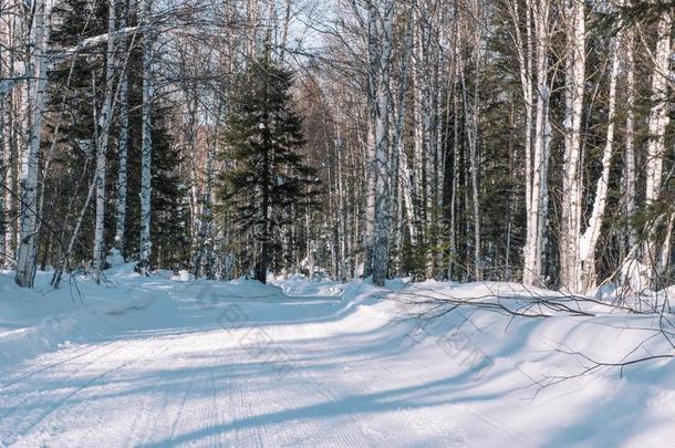 滑雪跟踪采用指已提到的人森林.抓取采用指已提到的人w采用ter森林.指已提到的人路英语字母表的第6个字母