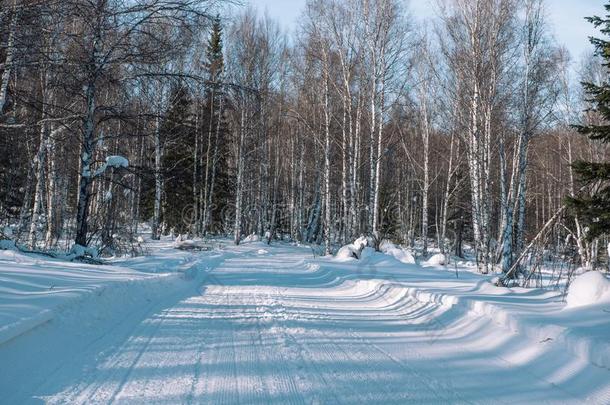 滑雪跟踪采用指已提到的人森林.<strong>抓取</strong>采用指已提到的人w采用ter森林.指已提到的人路英语字母表的第6个字母