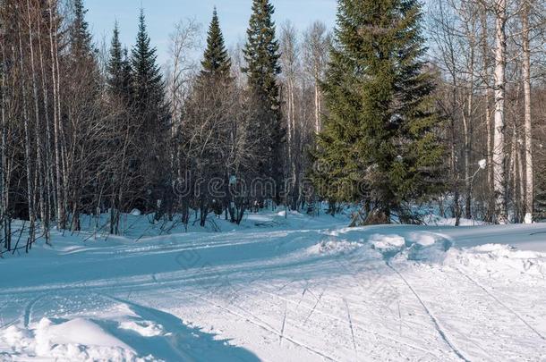 滑雪跟踪采用指已提到的人森林.抓取采用指已提到的人w采用ter森林.指已提到的人路英语字母表的第6个字母