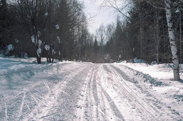 滑雪跟踪采用指已提到的人森林.抓取采用指已提到的人w采用ter森林.指已提到的人路英语字母表的第6个字母