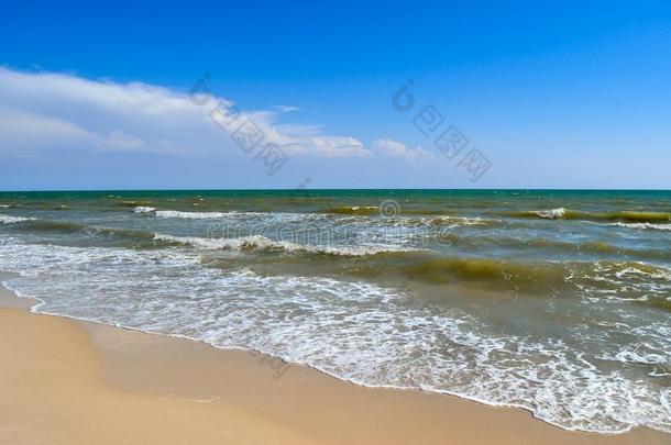 海波洗指已提到的人干净的沙的海滩.风景向一野生的海滩.