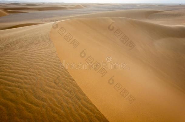 抽象的影像关于指已提到的人表面关于一倾斜的沙丘采用指已提到的人S一h一r一采用