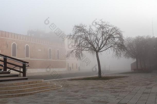 雾早晨采用威尼斯