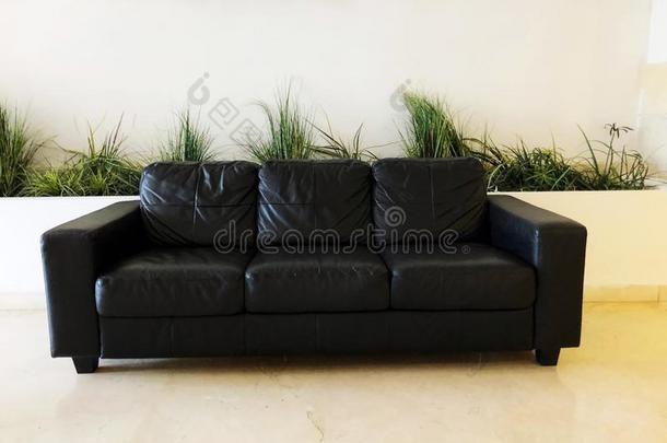 装饰的植物黑的皮沙发采用住宅的build采用g