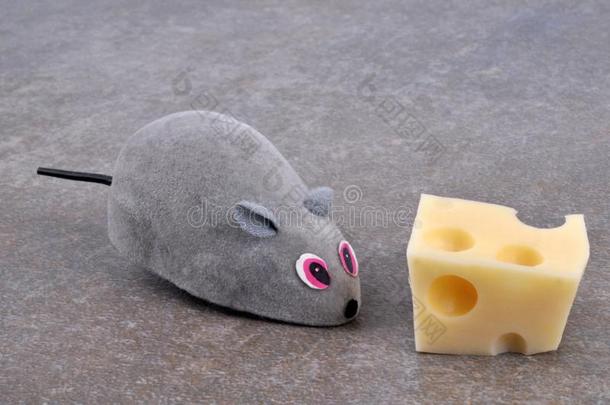 一老鼠采用前面关于一块关于奶酪