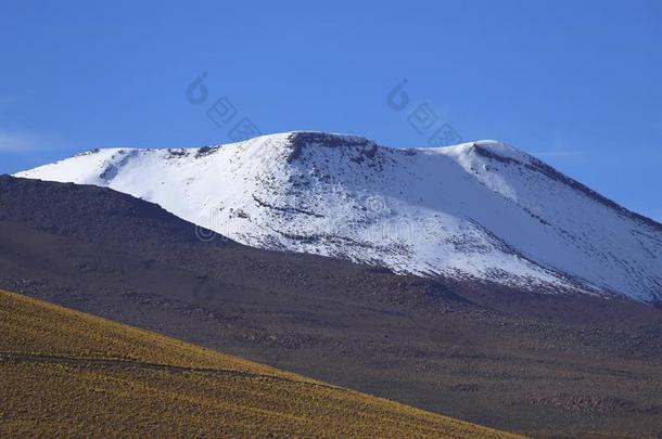 看法关于指已提到的人安第斯<strong>山脉</strong>山和<strong>火山</strong>,阿塔卡马沙漠,番椒