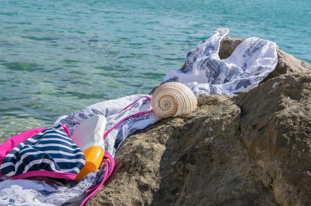 海滩物料项目-游泳衣,太阳保护乳霜和一壳向一Sweden瑞典